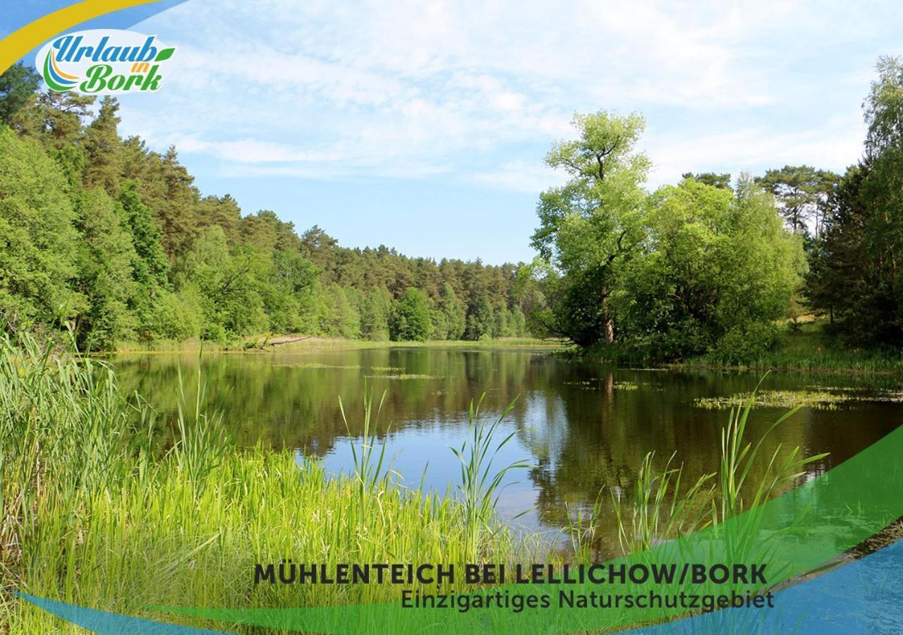 Вилла Jagd-Angler-Holzhaus-Im-Wald-Am-See Кириц Экстерьер фото